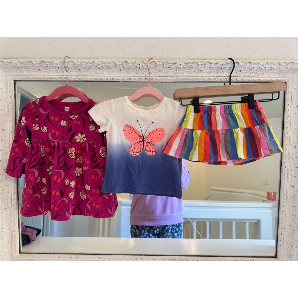 Tea Collection Baby Girl’s 12-18M 3 Piece Bundle - Dress, Butterfly Top, Skort